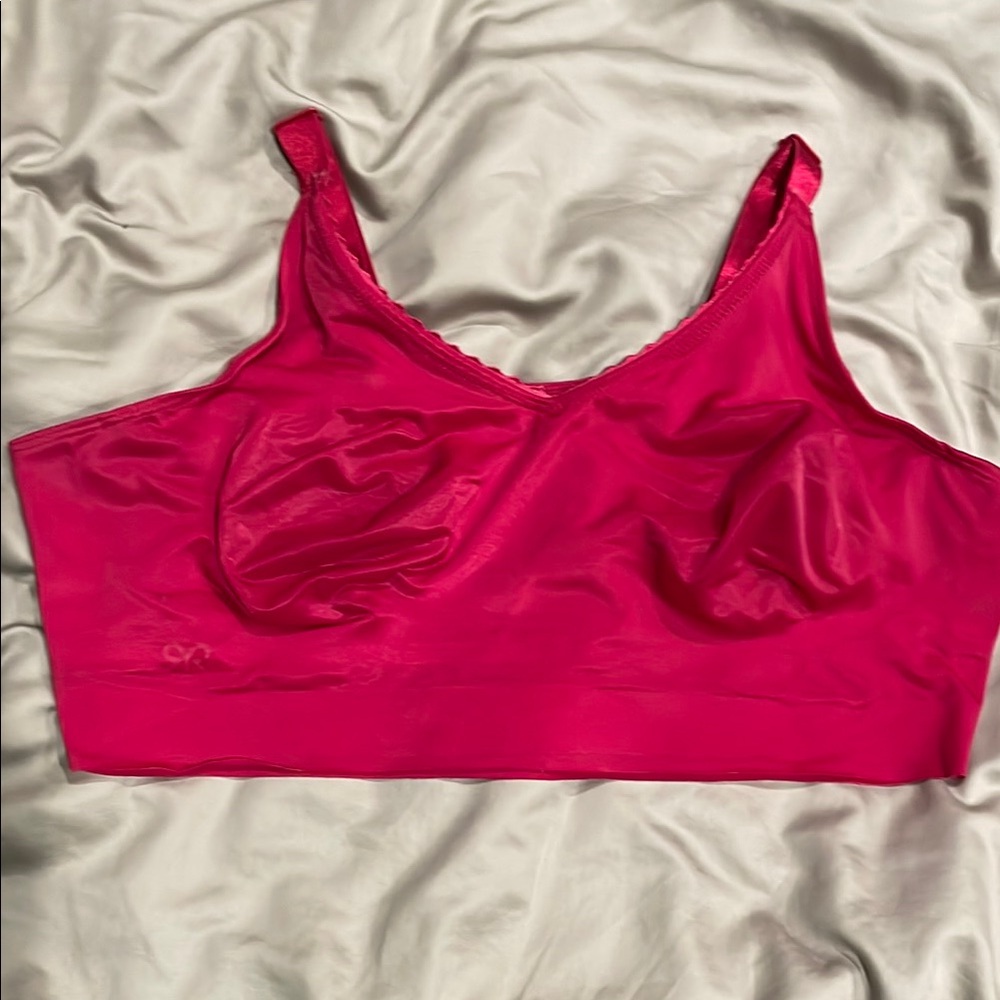 Ruby Ribbon Demiette